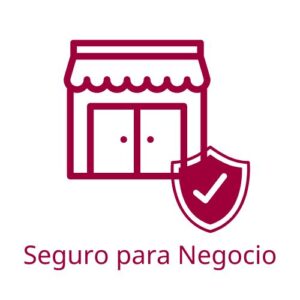 Seguro para Negocio