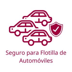 Seguro para Flotilla de Automóviles